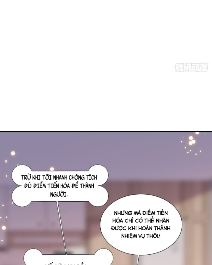 Kế Hoạch Nuôi Dưỡng Streamer Của Cẩu Hoàng Chapter 5 - Trang 3