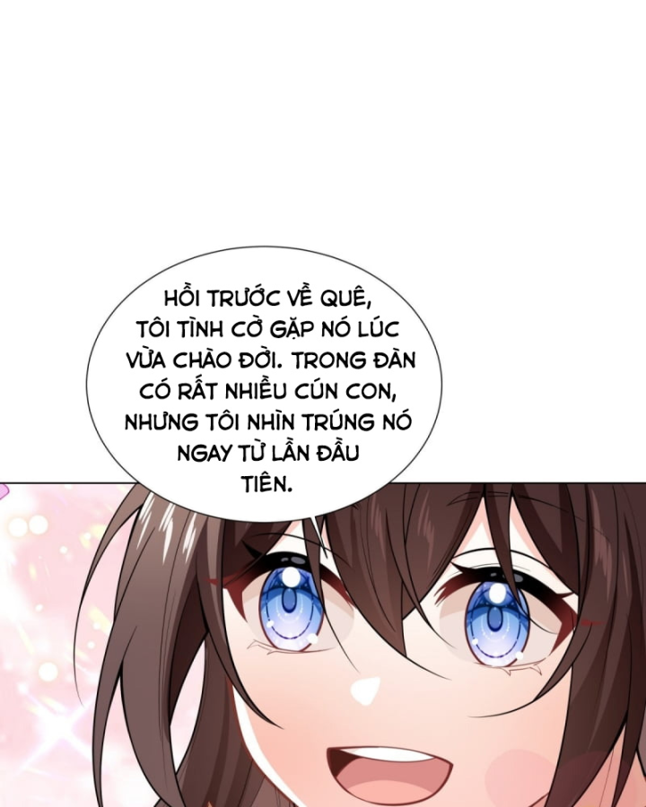 Kế Hoạch Nuôi Dưỡng Streamer Của Cẩu Hoàng Chapter 5 - Trang 3