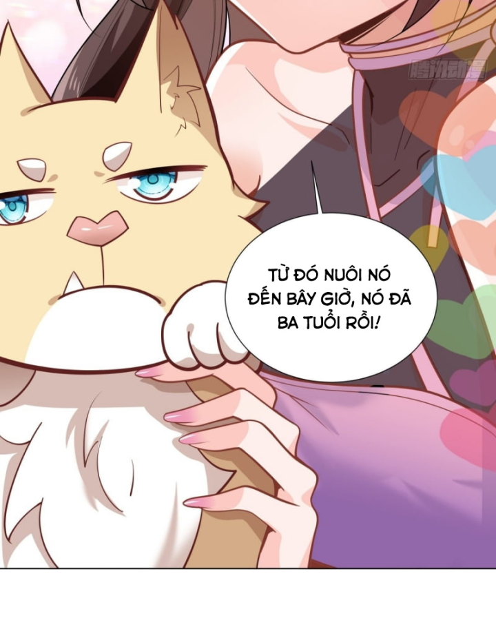 Kế Hoạch Nuôi Dưỡng Streamer Của Cẩu Hoàng Chapter 5 - Trang 3
