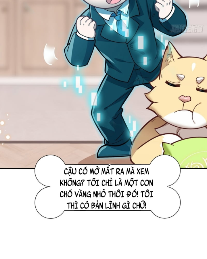 Kế Hoạch Nuôi Dưỡng Streamer Của Cẩu Hoàng Chapter 5 - Trang 3