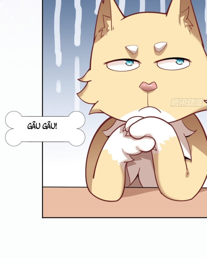 Kế Hoạch Nuôi Dưỡng Streamer Của Cẩu Hoàng Chapter 5 - Trang 3