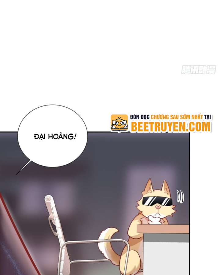 Kế Hoạch Nuôi Dưỡng Streamer Của Cẩu Hoàng Chapter 5 - Trang 3