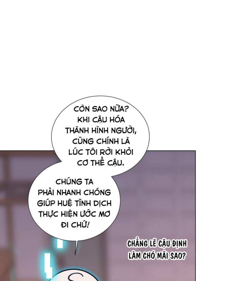 Kế Hoạch Nuôi Dưỡng Streamer Của Cẩu Hoàng Chapter 5 - Trang 3