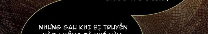 Dị Thú Của Ta Chỉ Có Trăm Triệu Điểm Cao Chapter 41 - Trang 2