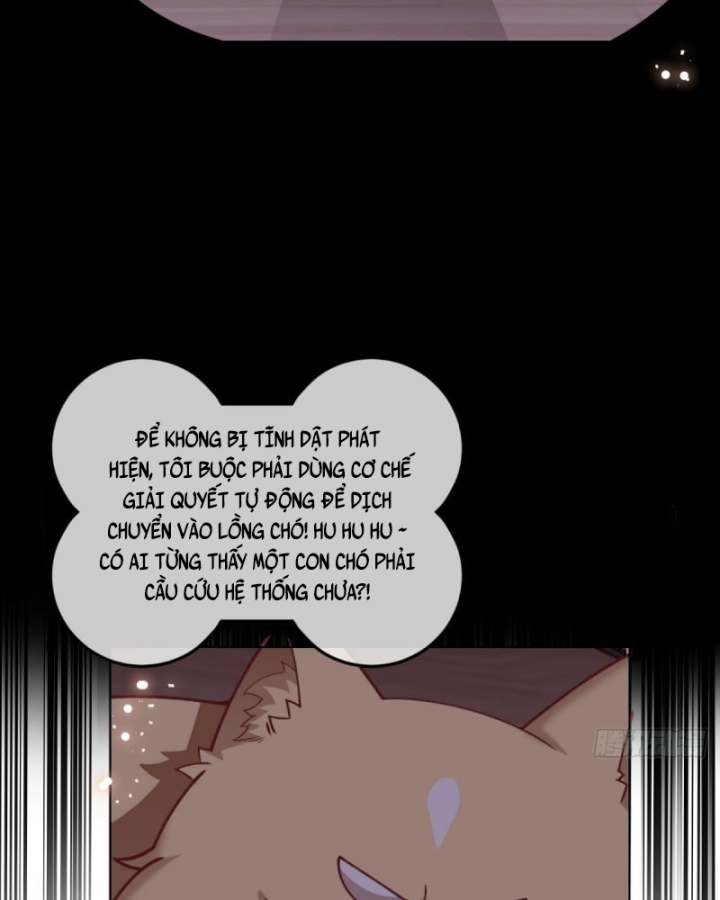 Kế Hoạch Nuôi Dưỡng Streamer Của Cẩu Hoàng Chapter 10 - Trang 3