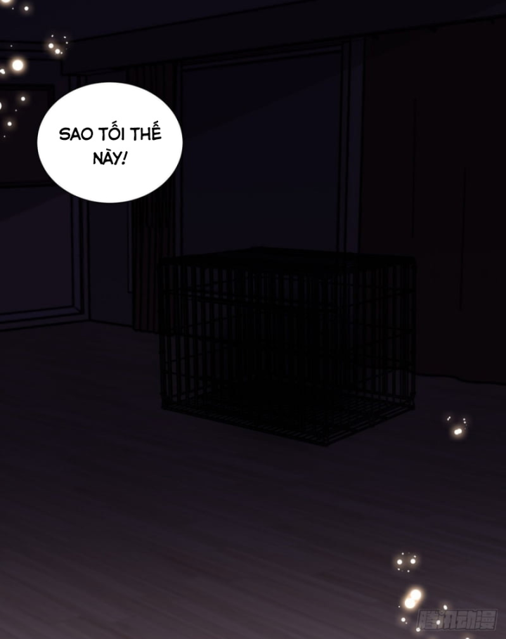 Kế Hoạch Nuôi Dưỡng Streamer Của Cẩu Hoàng Chapter 10 - Trang 3