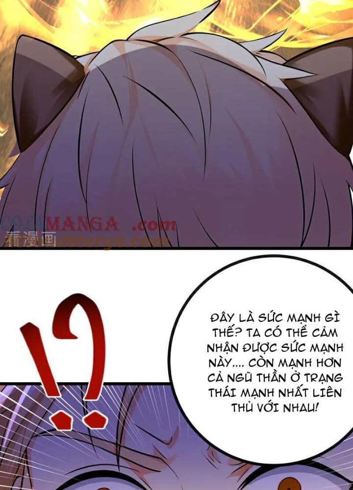 Tuyệt Thế Đan Thần Chapter 271 - Trang 3