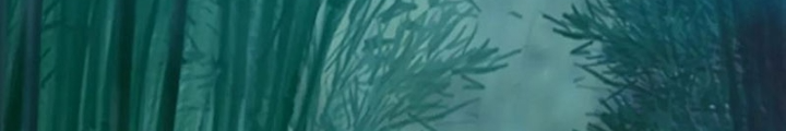 Tiên Võ Đế Tôn Chapter 790 - Trang 4