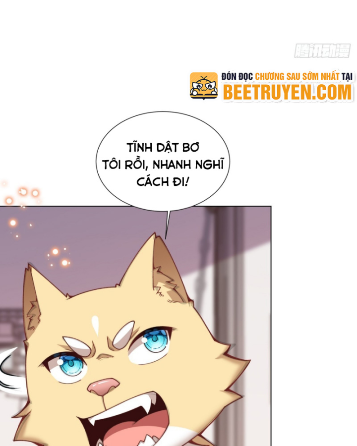 Kế Hoạch Nuôi Dưỡng Streamer Của Cẩu Hoàng Chapter 12 - Trang 3