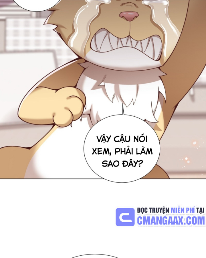Kế Hoạch Nuôi Dưỡng Streamer Của Cẩu Hoàng Chapter 12 - Trang 3