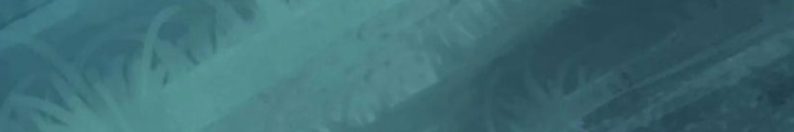 Tiên Võ Đế Tôn Chapter 791 - Next Chapter 792