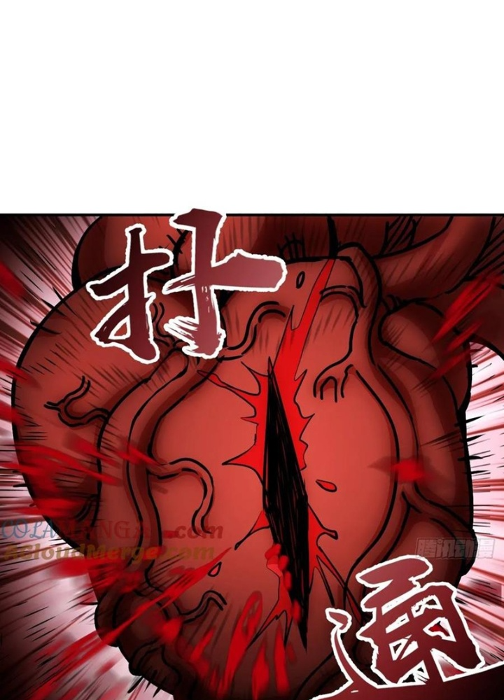 Xuyên Không Thành Chim Chapter 302 - Trang 3
