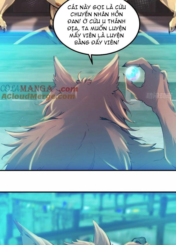 Tu chân trăm vạn năm: Đệ tử của ta trải rộng tiên giới Chapter 49 - Trang 2
