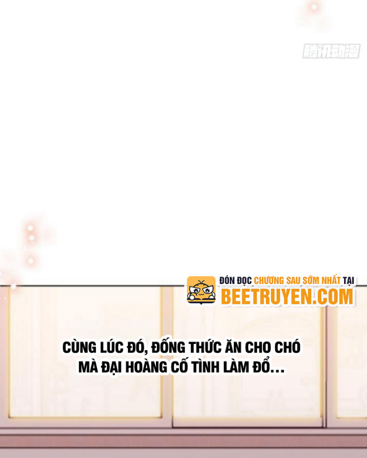 Kế Hoạch Nuôi Dưỡng Streamer Của Cẩu Hoàng Chapter 14 - Trang 3