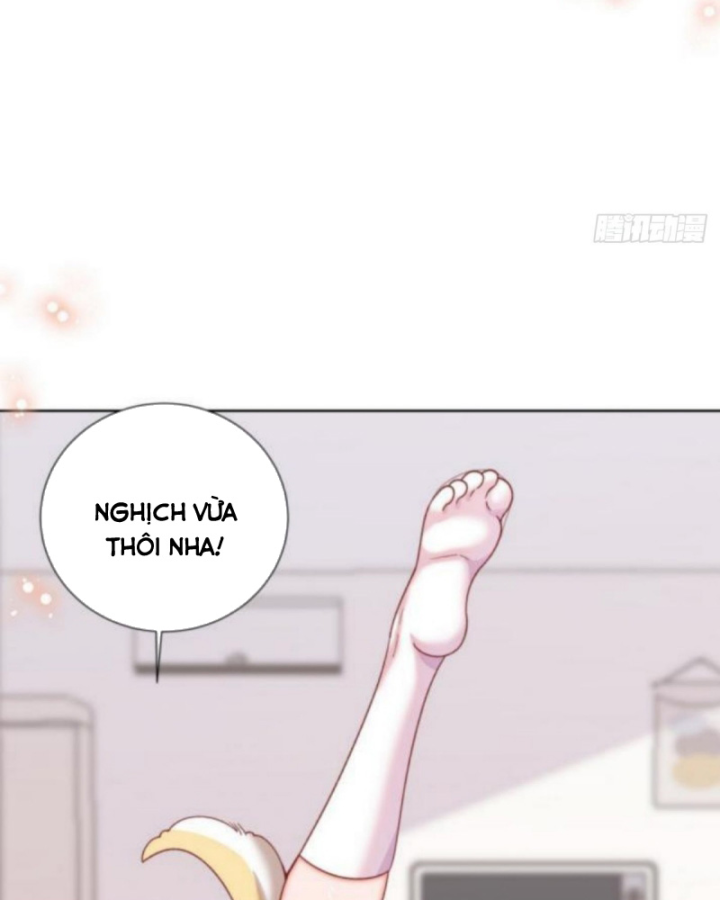 Kế Hoạch Nuôi Dưỡng Streamer Của Cẩu Hoàng Chapter 14 - Trang 3