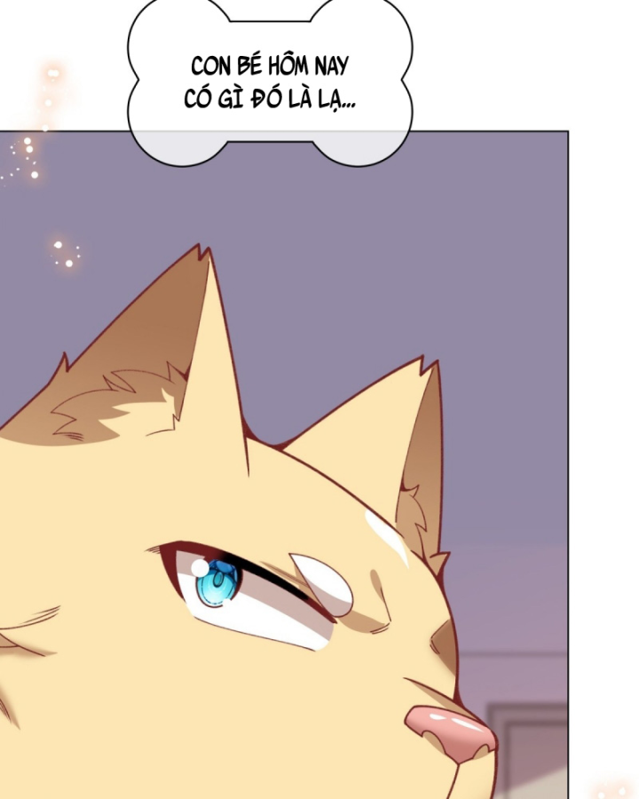Kế Hoạch Nuôi Dưỡng Streamer Của Cẩu Hoàng Chapter 14 - Trang 3