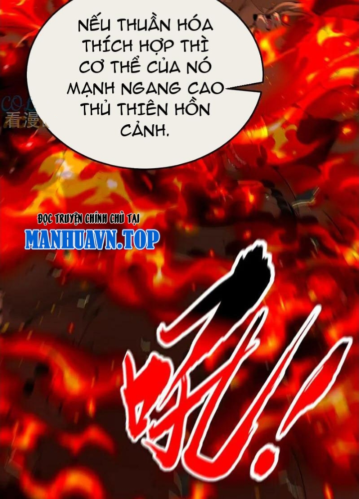 Thập Đại Đế Hoàng Đều Là Đệ Tử Của Ta Chapter 412 - Trang 4