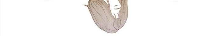 Cửa Hàng Đồ Cổ Tương Lai Chapter 17 - Trang 3