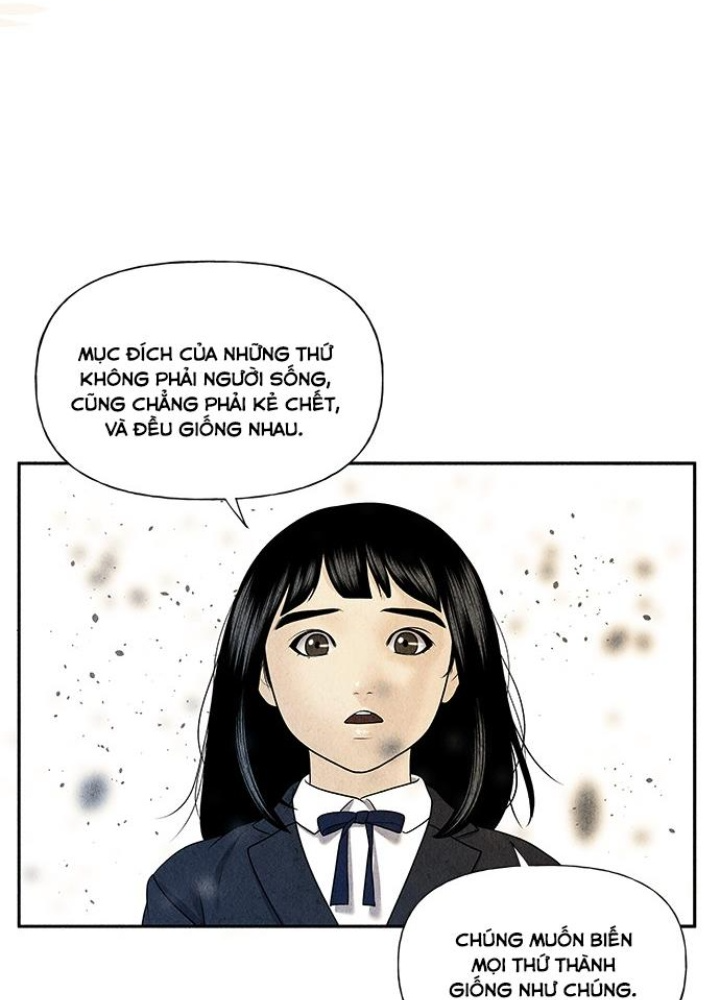 Cửa Hàng Đồ Cổ Tương Lai Chapter 17 - Trang 3