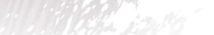 Hồi Quy Giả Chapter 127 - Trang 4