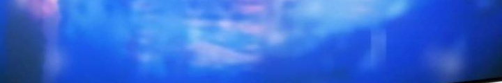 Hồi Quy Giả Chapter 127 - Trang 4