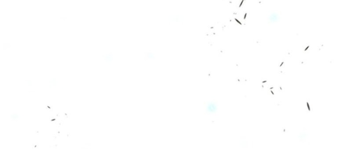 Zero 0 - Vựơt Qua Cả Ma Pháp Thời Không Chapter 72 - Trang 2