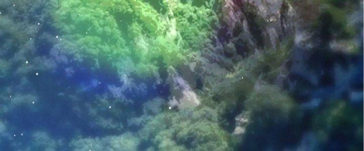 Đại Đường: Võ Thần Group Chat Chapter 53 - Trang 3