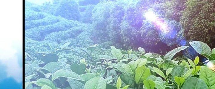 Đại Đường: Võ Thần Group Chat Chapter 56 - Trang 3