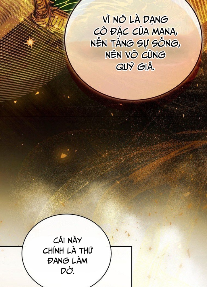 Thiên Tài Phép Thuật Nắm Bắt Khái Niệm Chapter 8 - Trang 2
