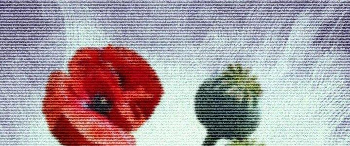 Đại Đường: Võ Thần Group Chat Chapter 57 - Trang 3