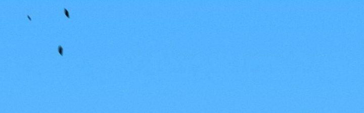 Đại Đường: Võ Thần Group Chat Chapter 57 - Trang 3