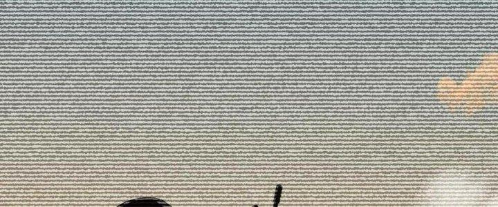 Đại Đường: Võ Thần Group Chat Chapter 58 - Trang 3