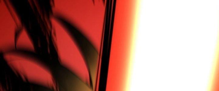 Tinh Môn Chapter 60 - Trang 2