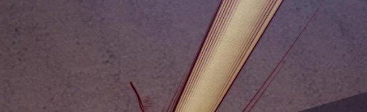 Trường Sinh Đạo Chapter 91 - Trang 2