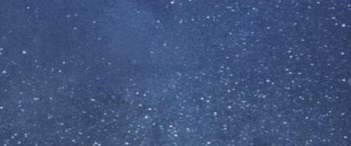 Trường Sinh Đạo Chapter 91 - Trang 2