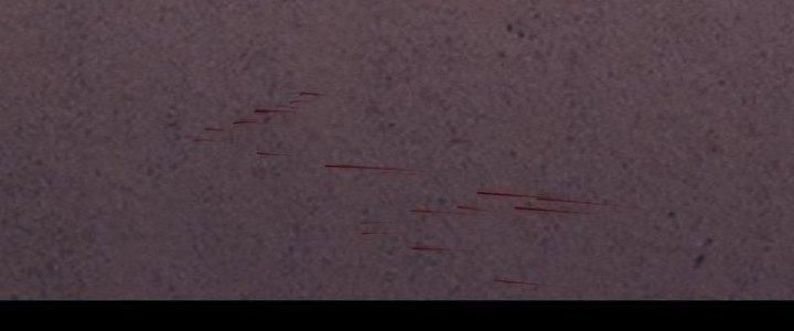 Trường Sinh Đạo Chapter 91 - Trang 2