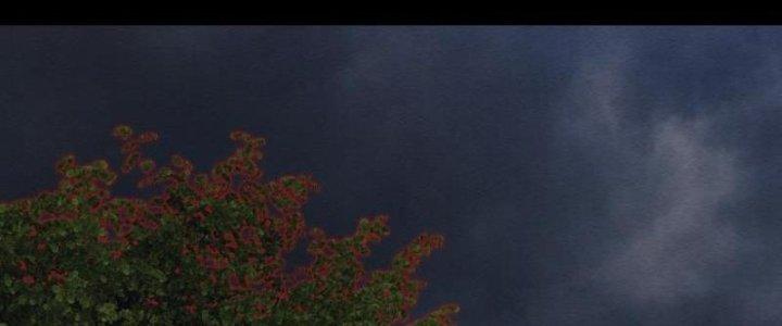 Trường Sinh Đạo Chapter 101 - Next Chapter 102