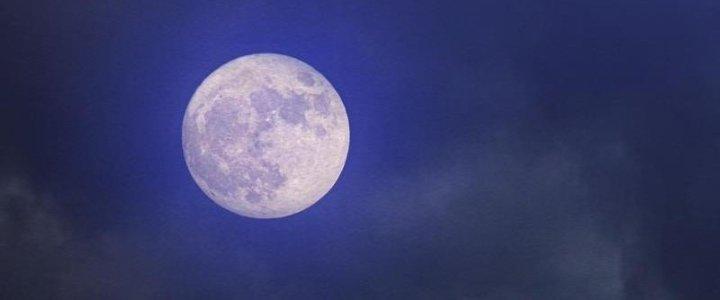 Trường Sinh Đạo Chapter 101 - Next Chapter 102