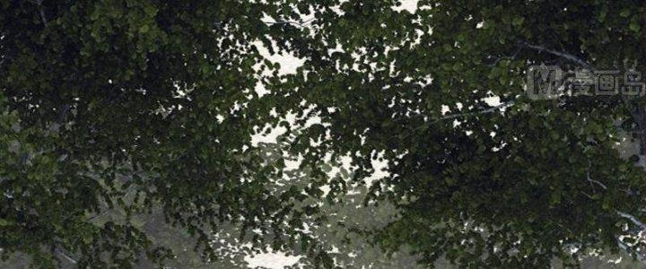 Trường Sinh Đạo Chapter 103 - Trang 2