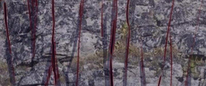 Trường Sinh Đạo Chapter 103 - Trang 2