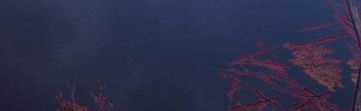 Trường Sinh Đạo Chapter 103 - Trang 2