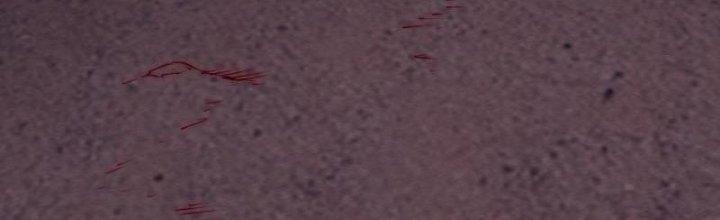 Trường Sinh Đạo Chapter 103 - Trang 2