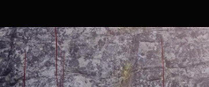 Trường Sinh Đạo Chapter 104 - Next Chapter 105