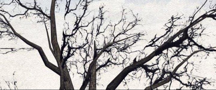 Trường Sinh Đạo Chapter 106 - Next Chapter 107