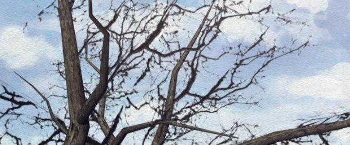 Trường Sinh Đạo Chapter 106 - Next Chapter 107