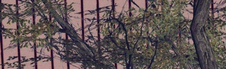 Trường Sinh Đạo Chapter 107 - Trang 2