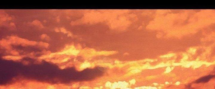 Trường Sinh Đạo Chapter 108 - Next Chapter 109