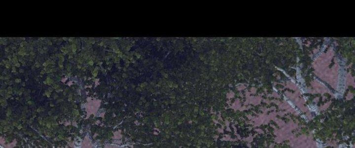 Trường Sinh Đạo Chapter 108 - Next Chapter 109