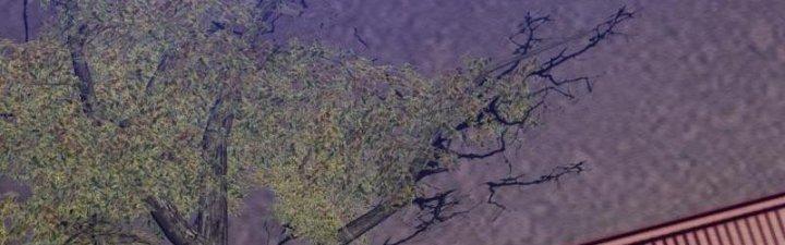 Trường Sinh Đạo Chapter 109 - Trang 2