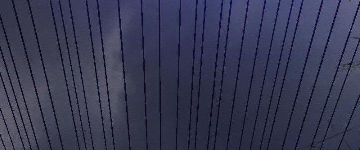 Trường Sinh Đạo Chapter 109 - Trang 2